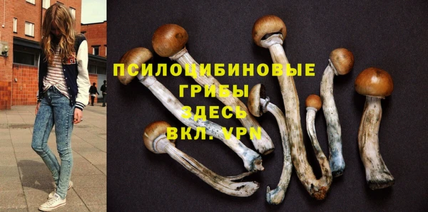 первитин Абинск