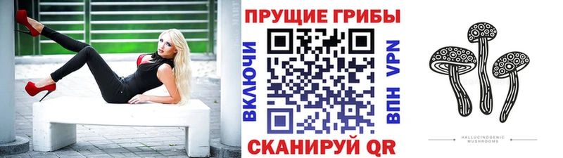 Галлюциногенные грибы мицелий  сколько стоит  Красный Сулин 