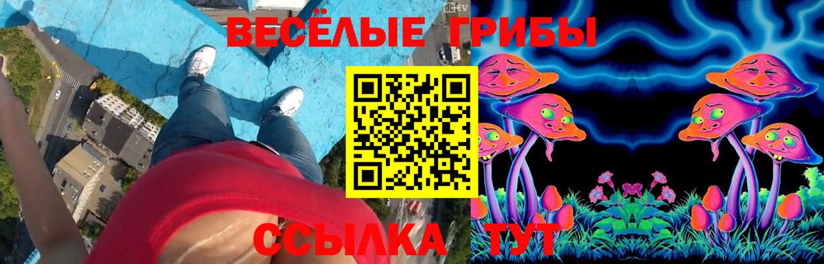 Красный Сулин  Псилоцибиновые грибы GOLDEN TEACHER  купить наркотик  Вход с VPN 